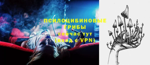 гашик Алексеевка