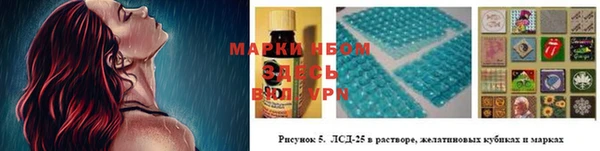 гашик Алексеевка