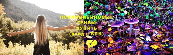гашик Алексеевка
