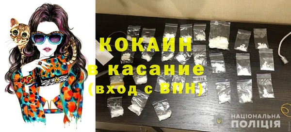 гашик Алексеевка