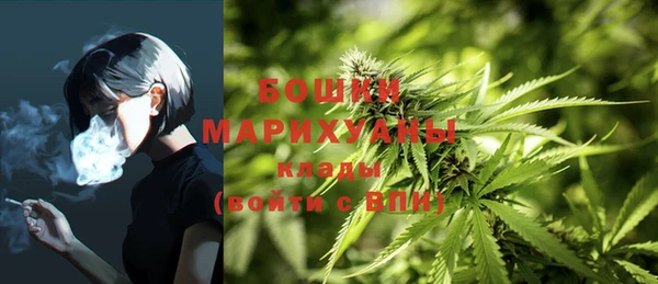 каннабис Алзамай