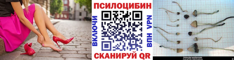 omg как зайти  Дыгулыбгей  Псилоцибиновые грибы мицелий  цены  